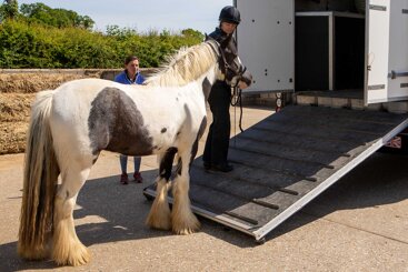Travelling your horse – managing risks for a better journey