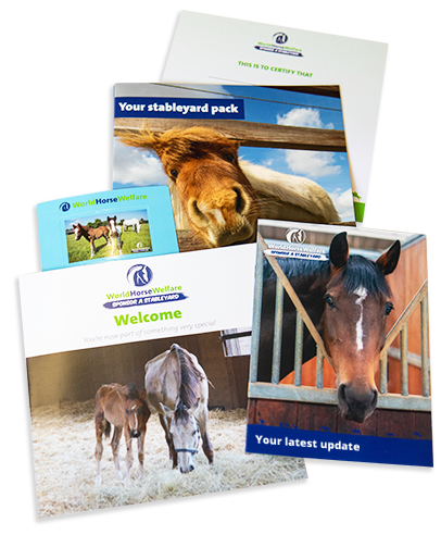 Glenda Spooner Farm - World Horse Welfare