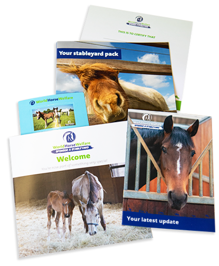 Sponsor a stableyard welcome pack literature