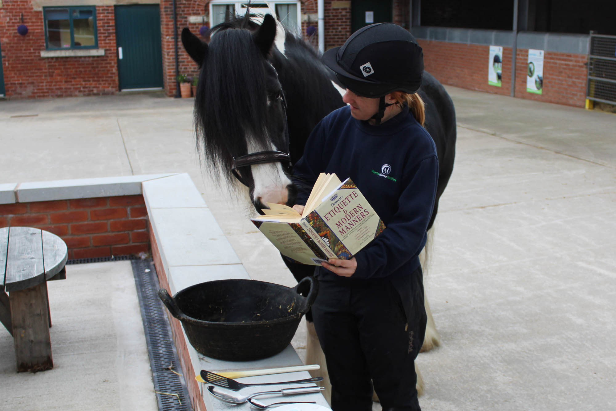 Birth of first foal from rescued ‘smuggled’ Dover 26 horses