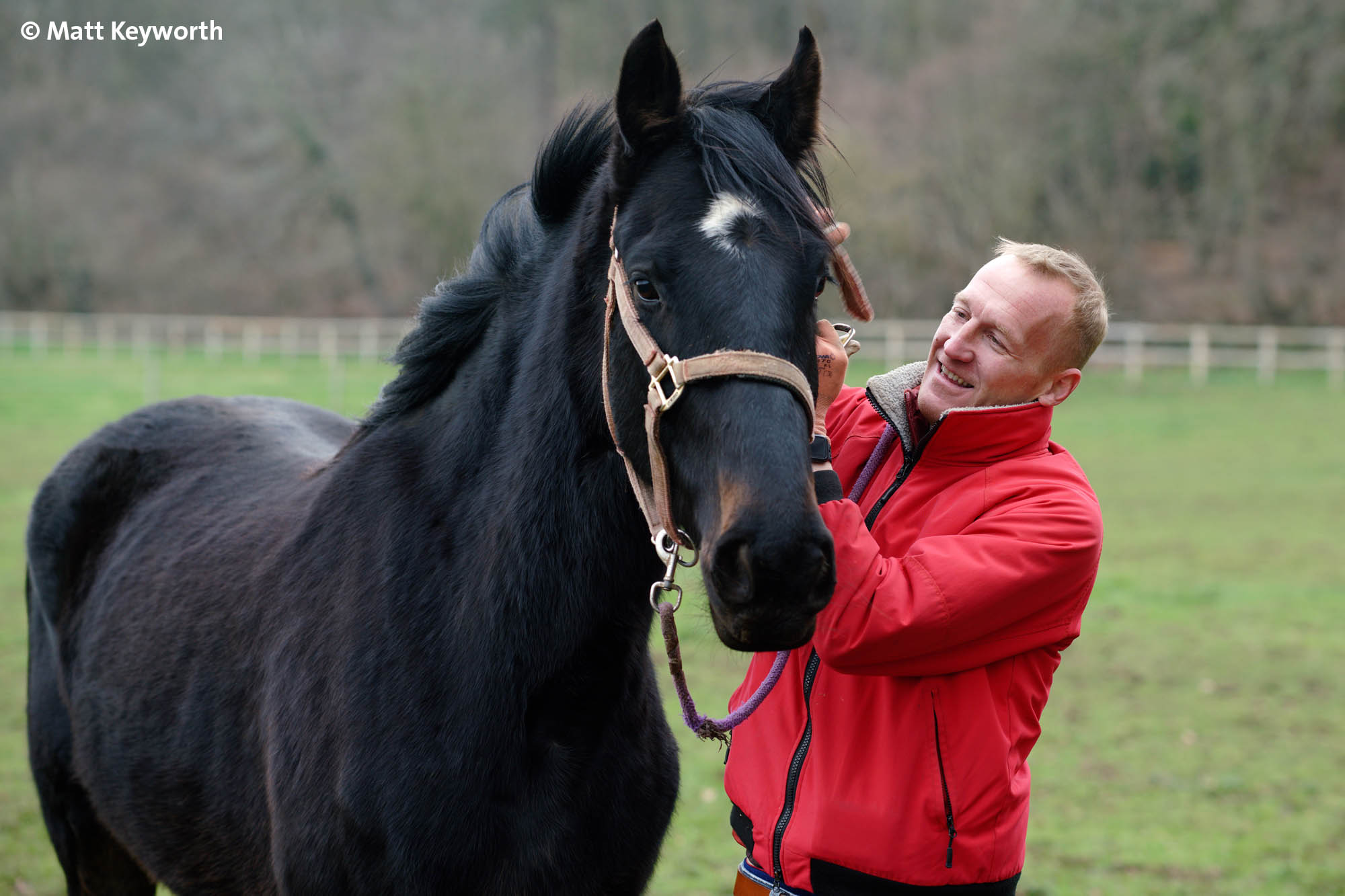 Birth of first foal from rescued ‘smuggled’ Dover 26 horses