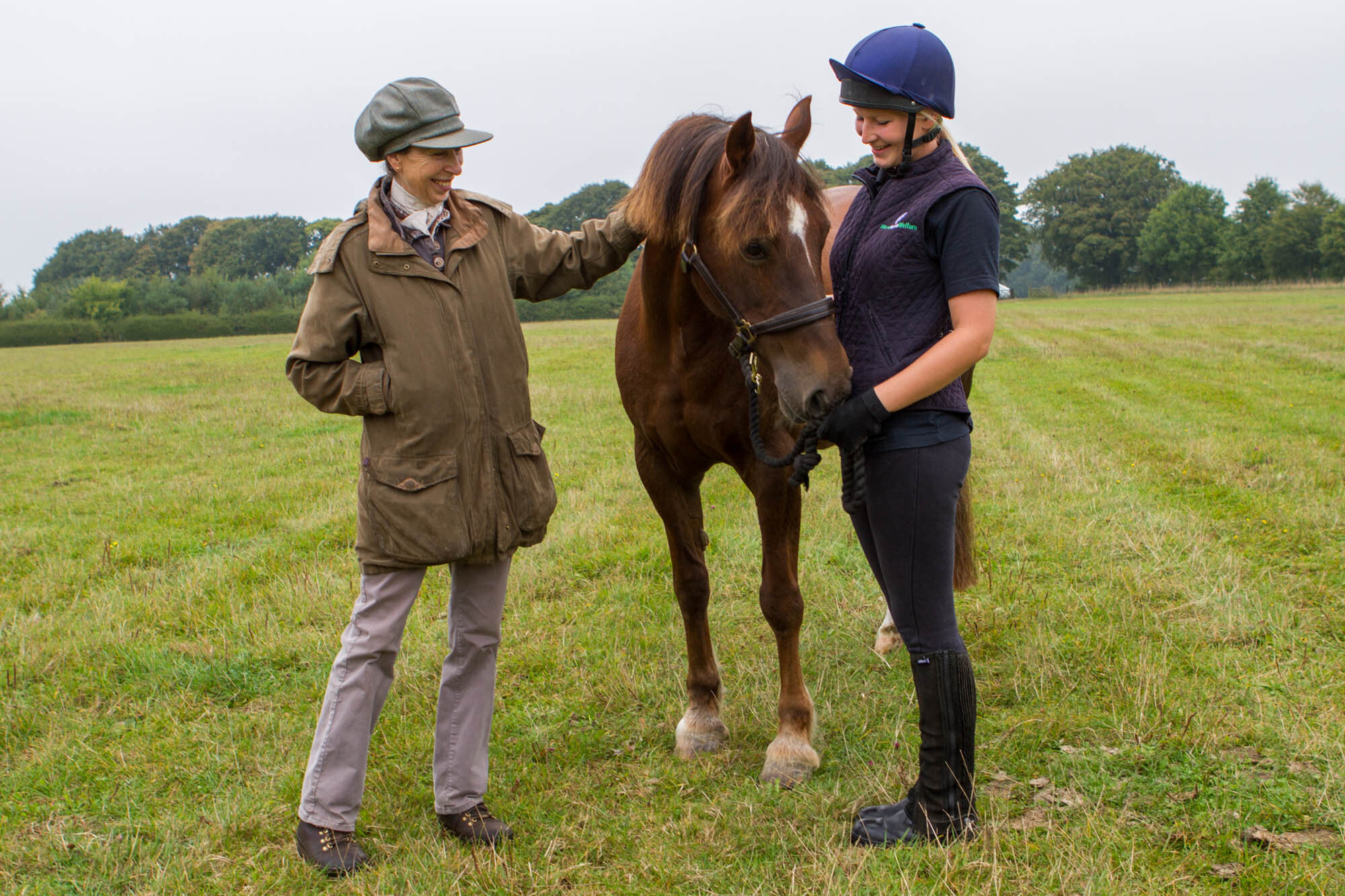 HRH The Princess Royal kick starts World Horse Welfare&#8217;s rehoming campaign in the midst of a horse crisis by rehoming charity horse