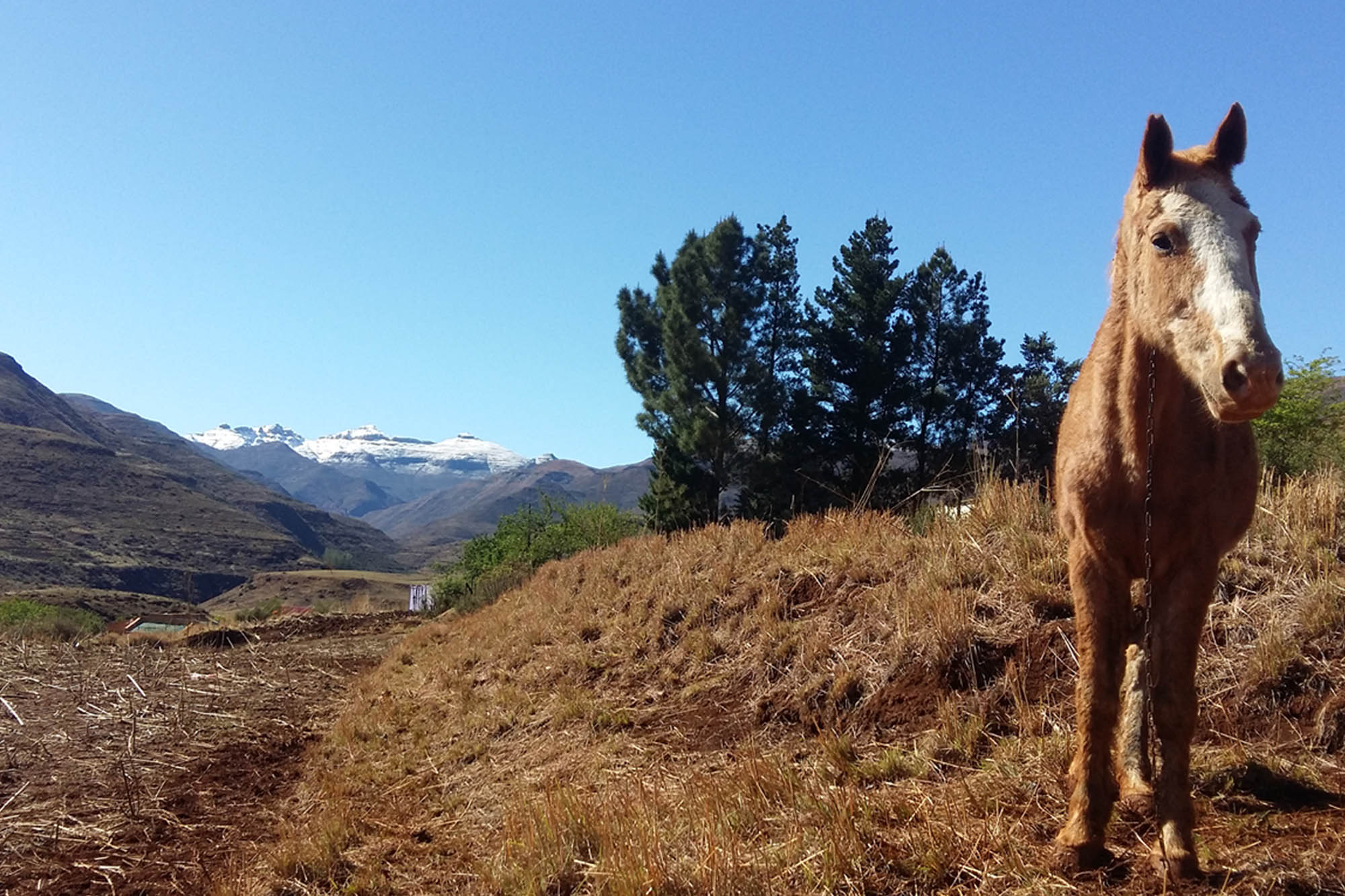 Lesotho