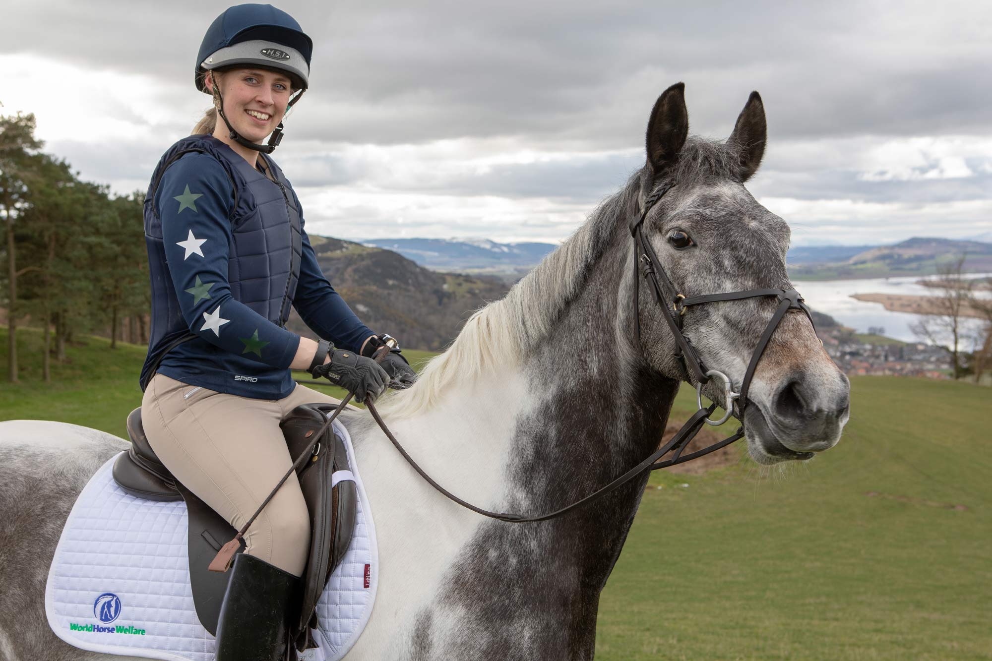 Artist turns hand to help horses in sculpture trail