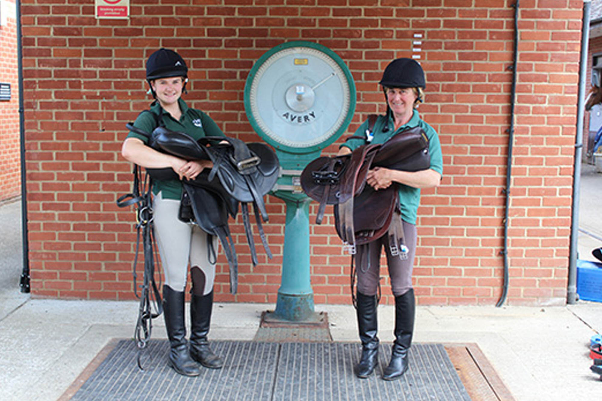 Project takes first step towards lightening the load for horses