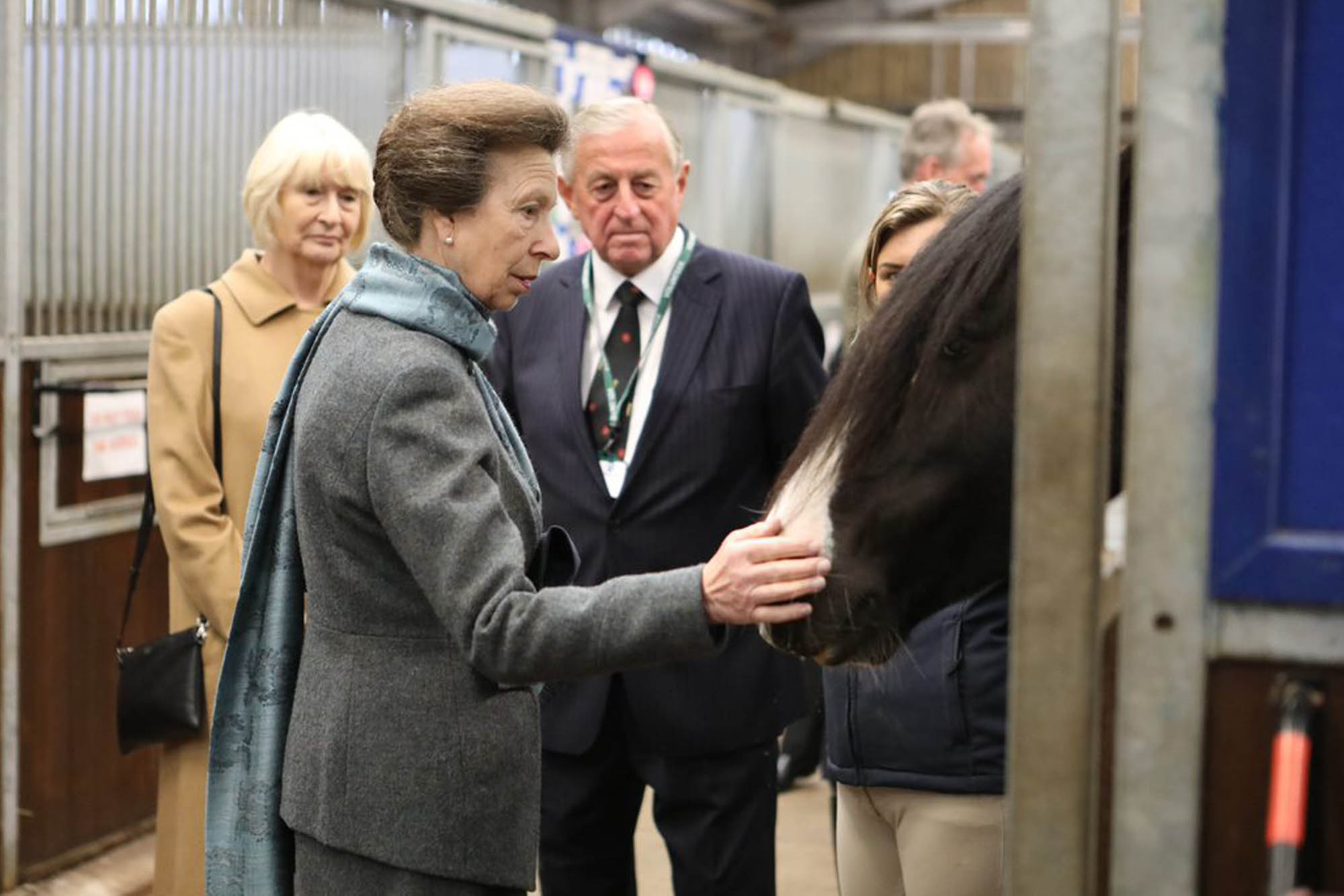 Birth of first foal from rescued ‘smuggled’ Dover 26 horses