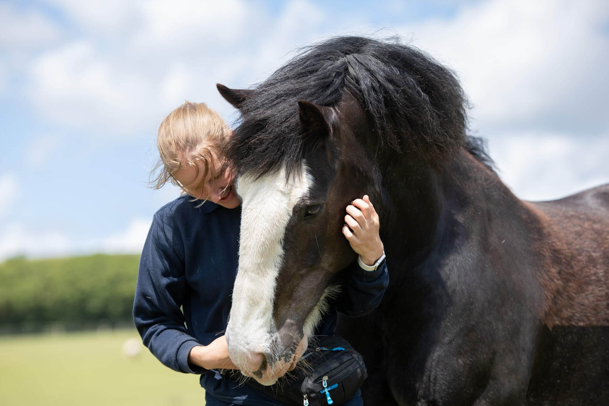 Birth of first foal from rescued ‘smuggled’ Dover 26 horses