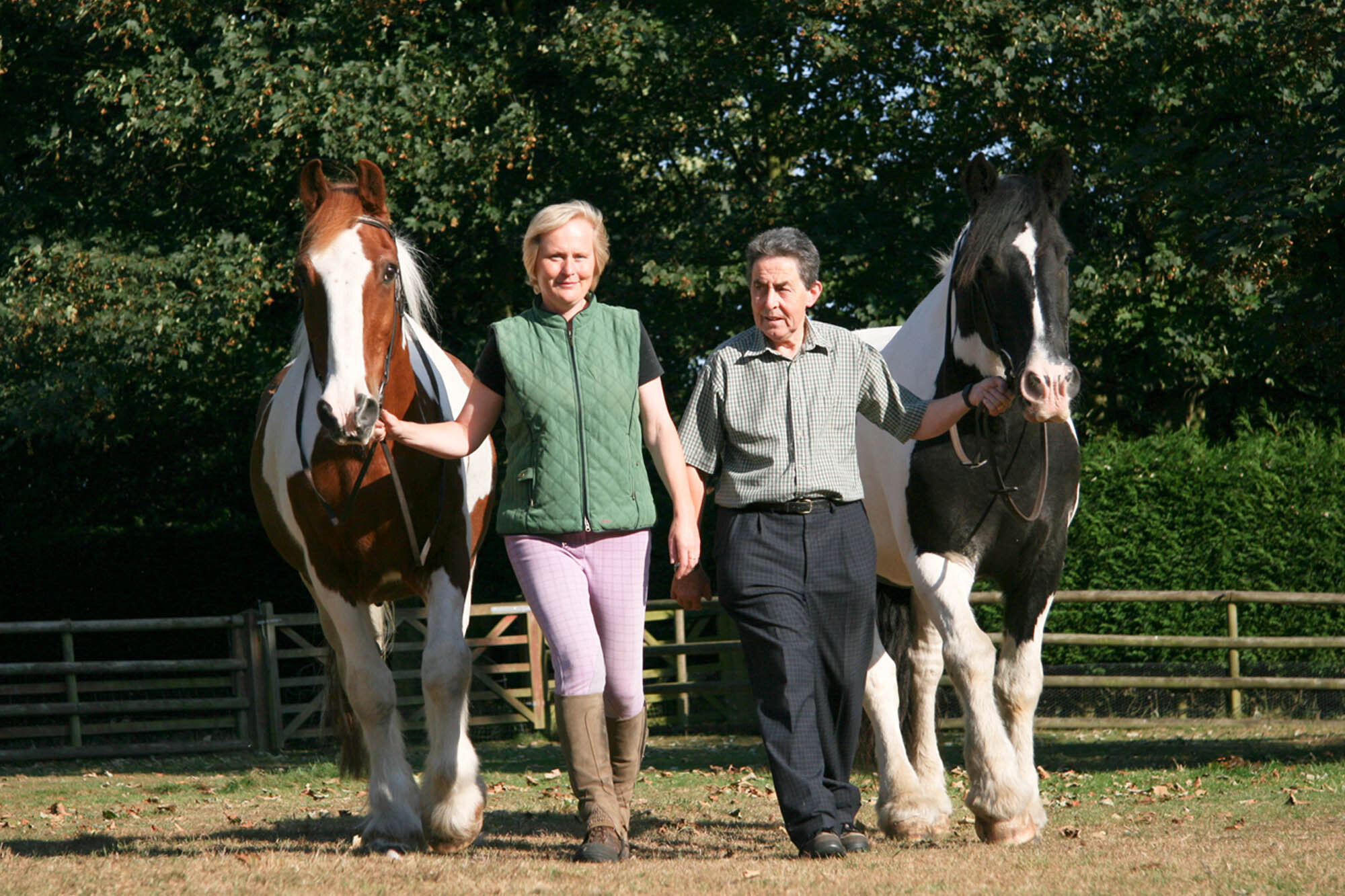 Horse Gifting in a Will