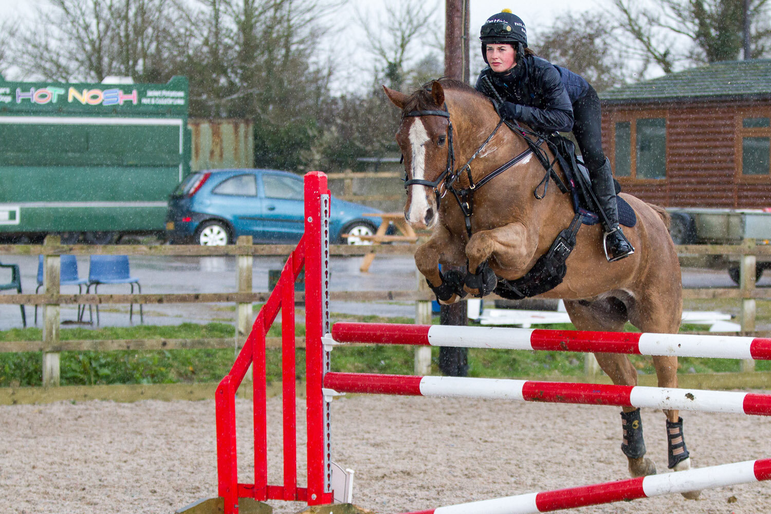 Rescue horse Harry’s winning ways with rehomer