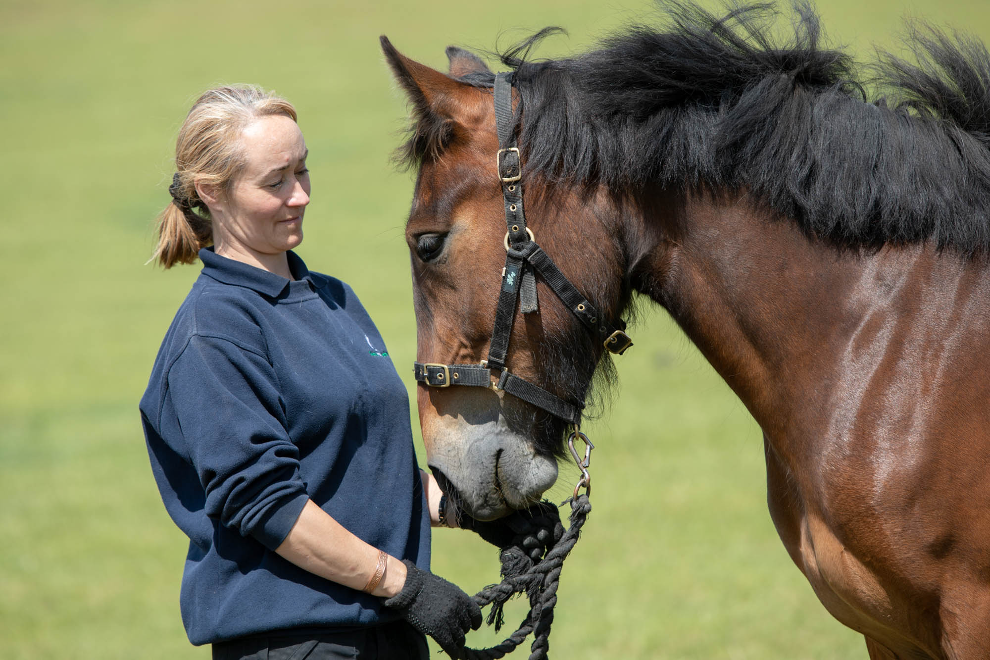 Birth of first foal from rescued ‘smuggled’ Dover 26 horses