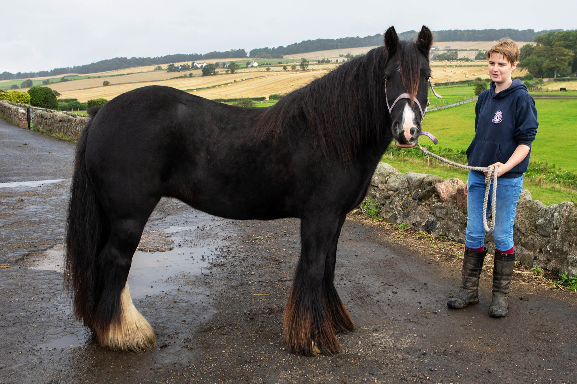 Birth of first foal from rescued ‘smuggled’ Dover 26 horses