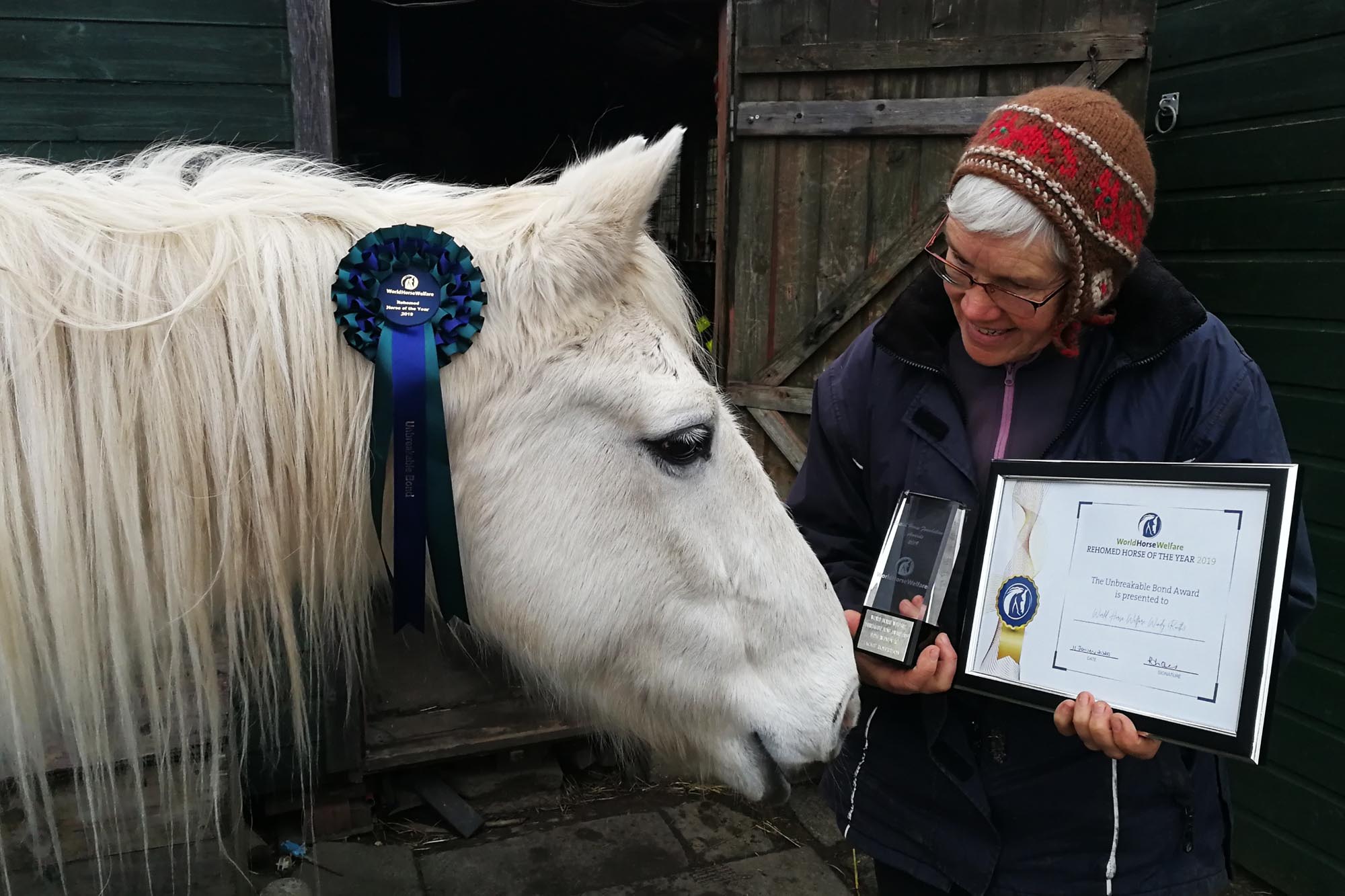 Rehomed horses steal the hearts of celebrity judges to win in national competition