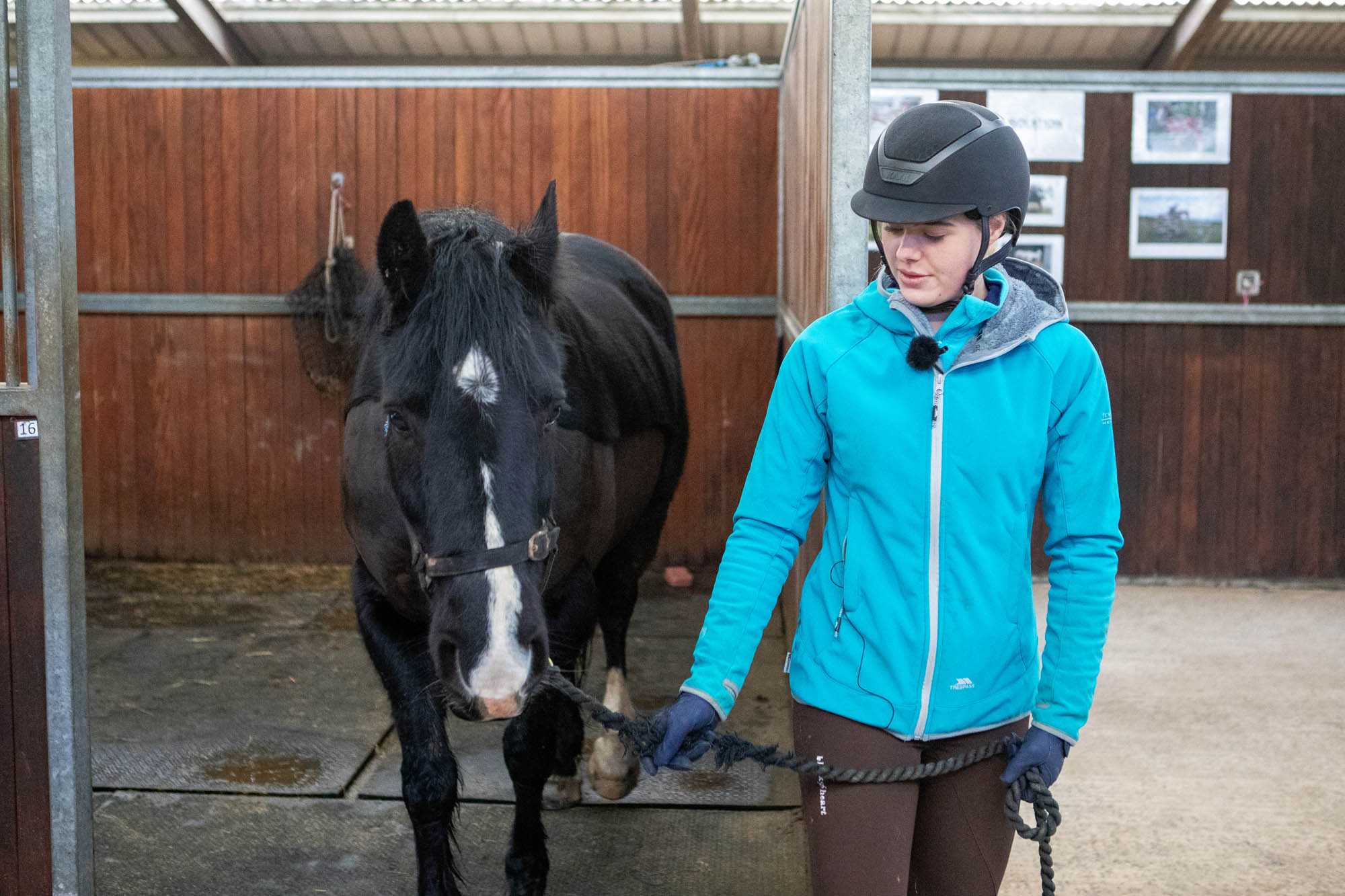 Birth of first foal from rescued ‘smuggled’ Dover 26 horses