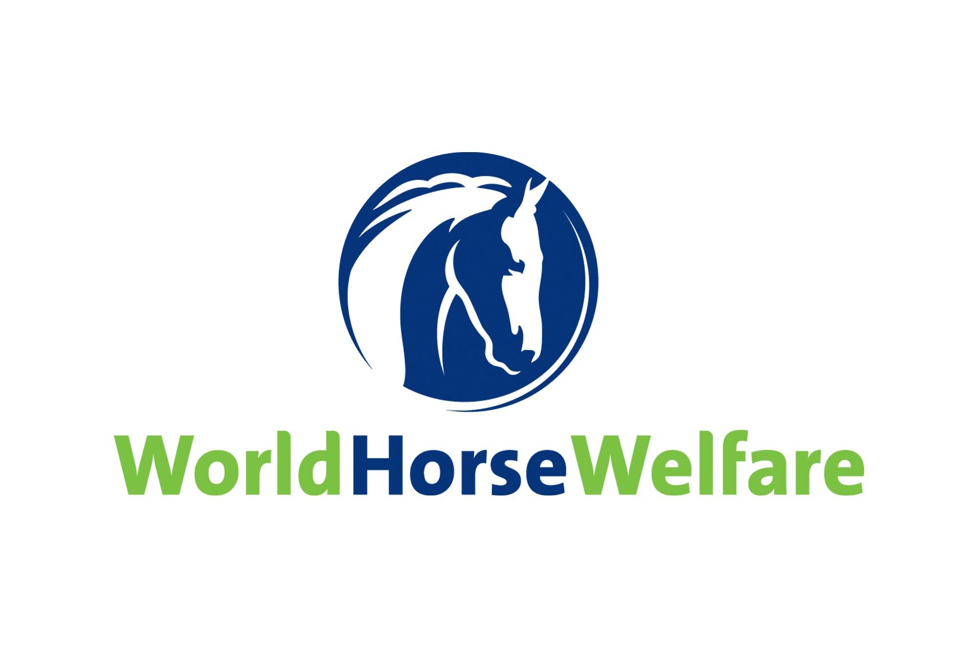 How is coronavirus impacting World Horse Welfare&#8217;s work in the UK?