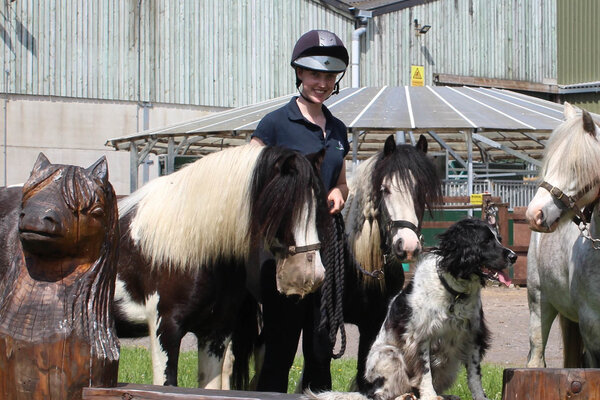 A horse stands in a stable with its head lowered over the door. A visitor is stroking the horses head, and beside them another visitor sits in a wheelchair.