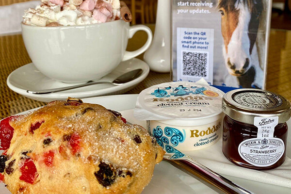 A raisin scone with a pot of jam beside it with a hot chocolate with whipped cream and marshmallows in the background.