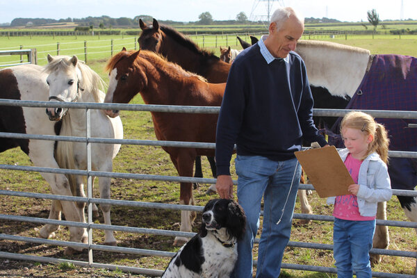 A horse stands in a stable with its head lowered over the door. A visitor is stroking the horses head, and beside them another visitor sits in a wheelchair.