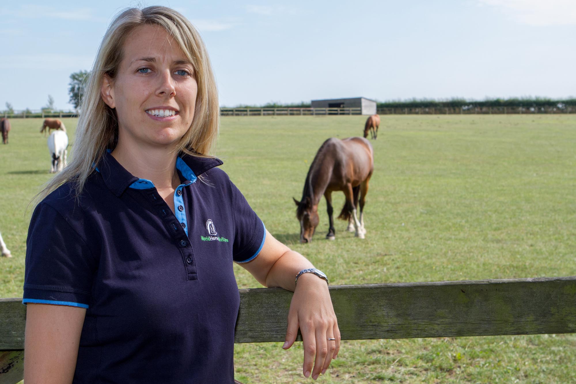 Birth of first foal from rescued ‘smuggled’ Dover 26 horses