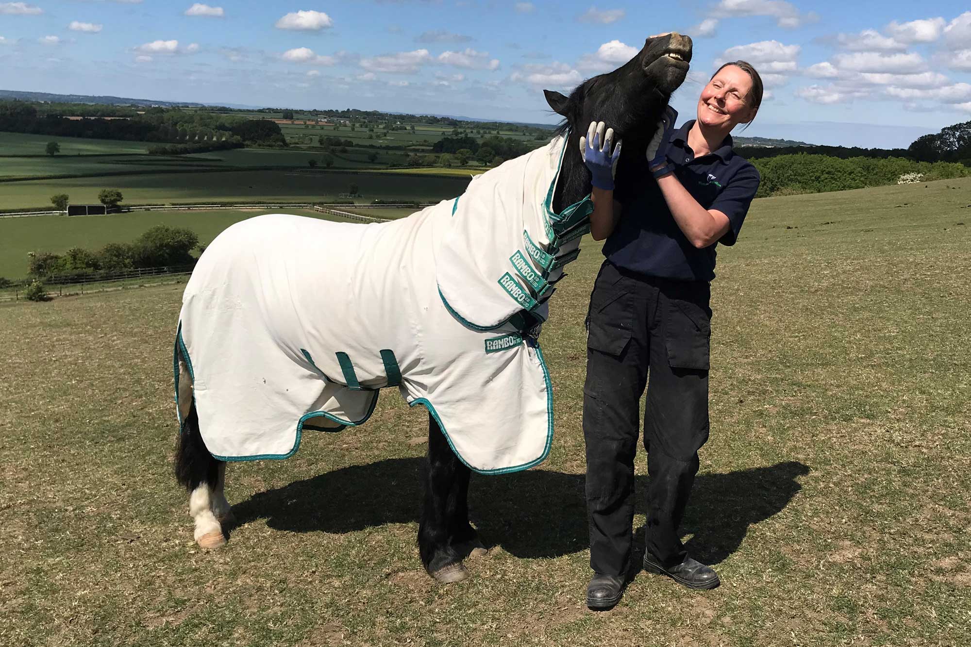 Birth of first foal from rescued ‘smuggled’ Dover 26 horses