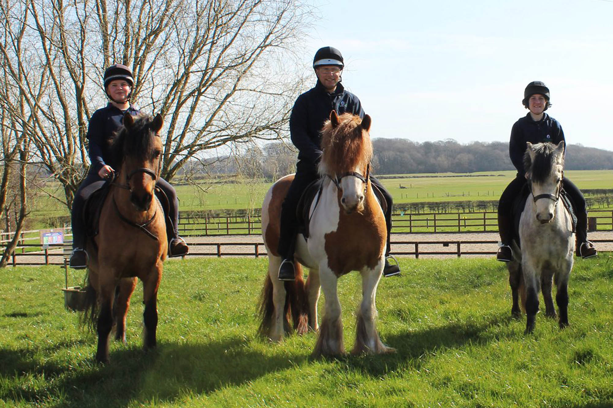 Birth of first foal from rescued ‘smuggled’ Dover 26 horses