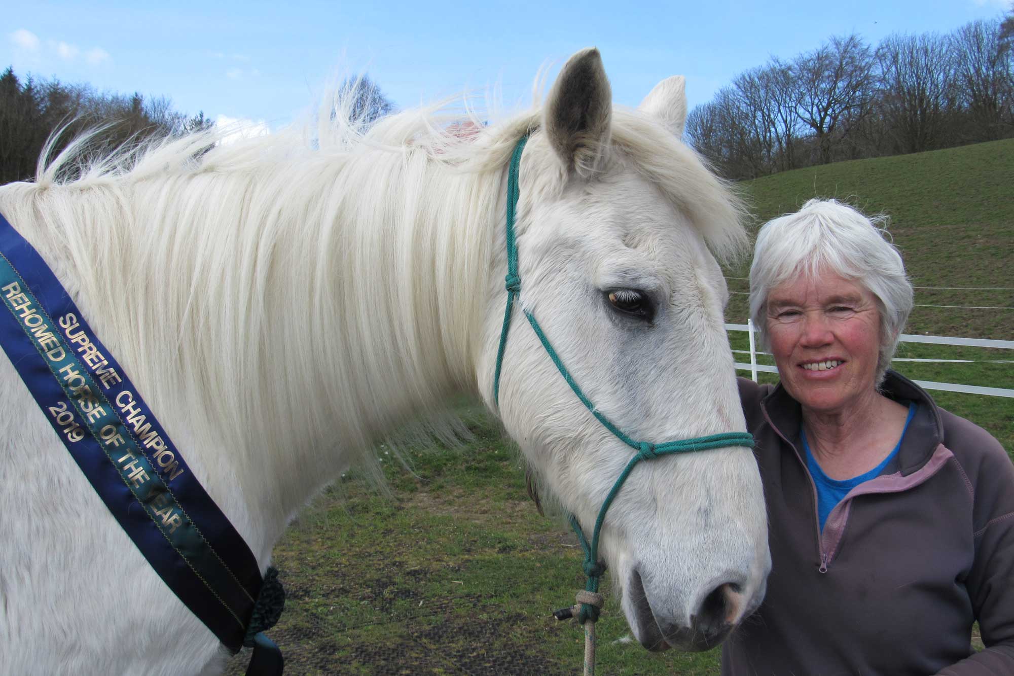 Birth of first foal from rescued ‘smuggled’ Dover 26 horses