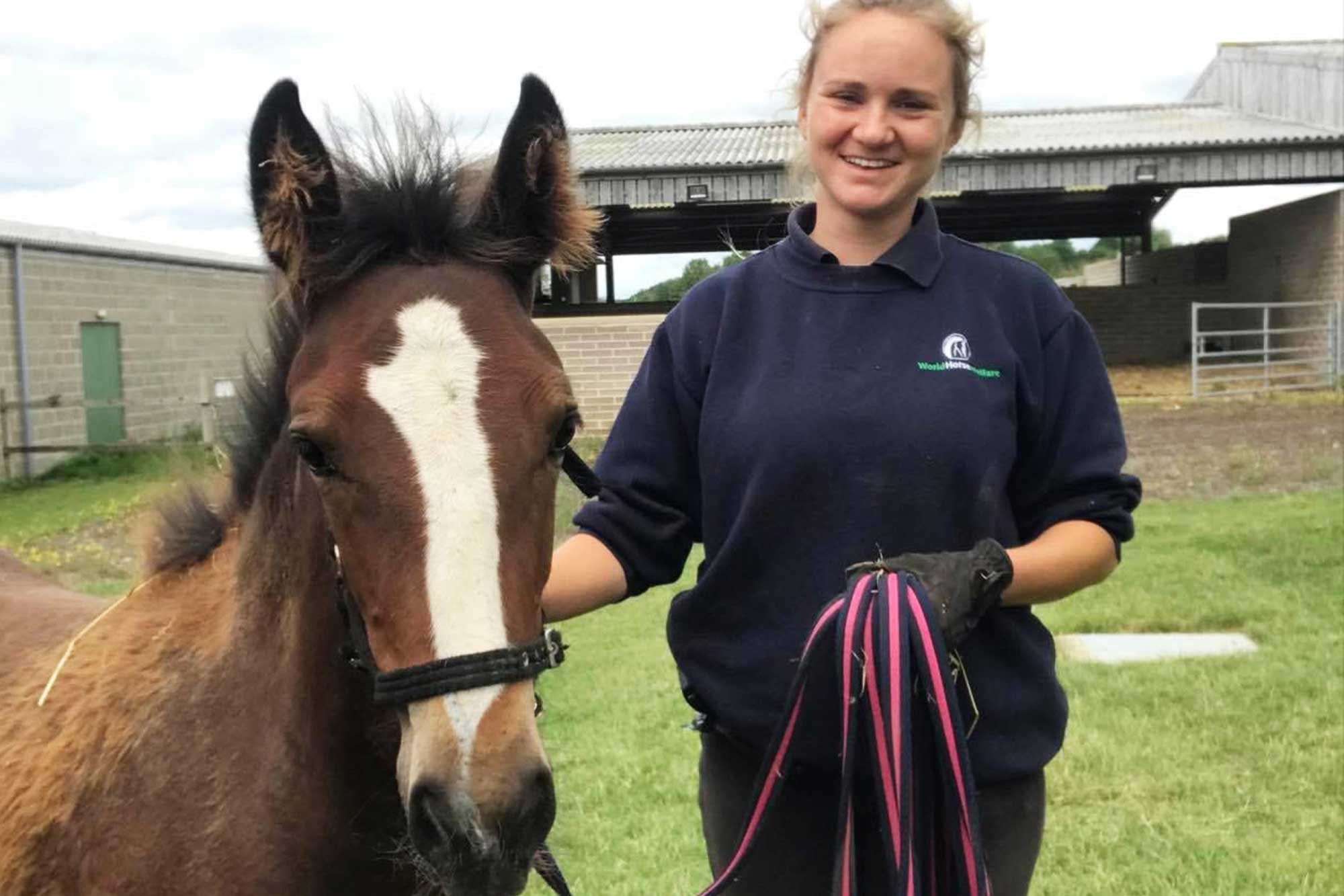 Birth of first foal from rescued ‘smuggled’ Dover 26 horses