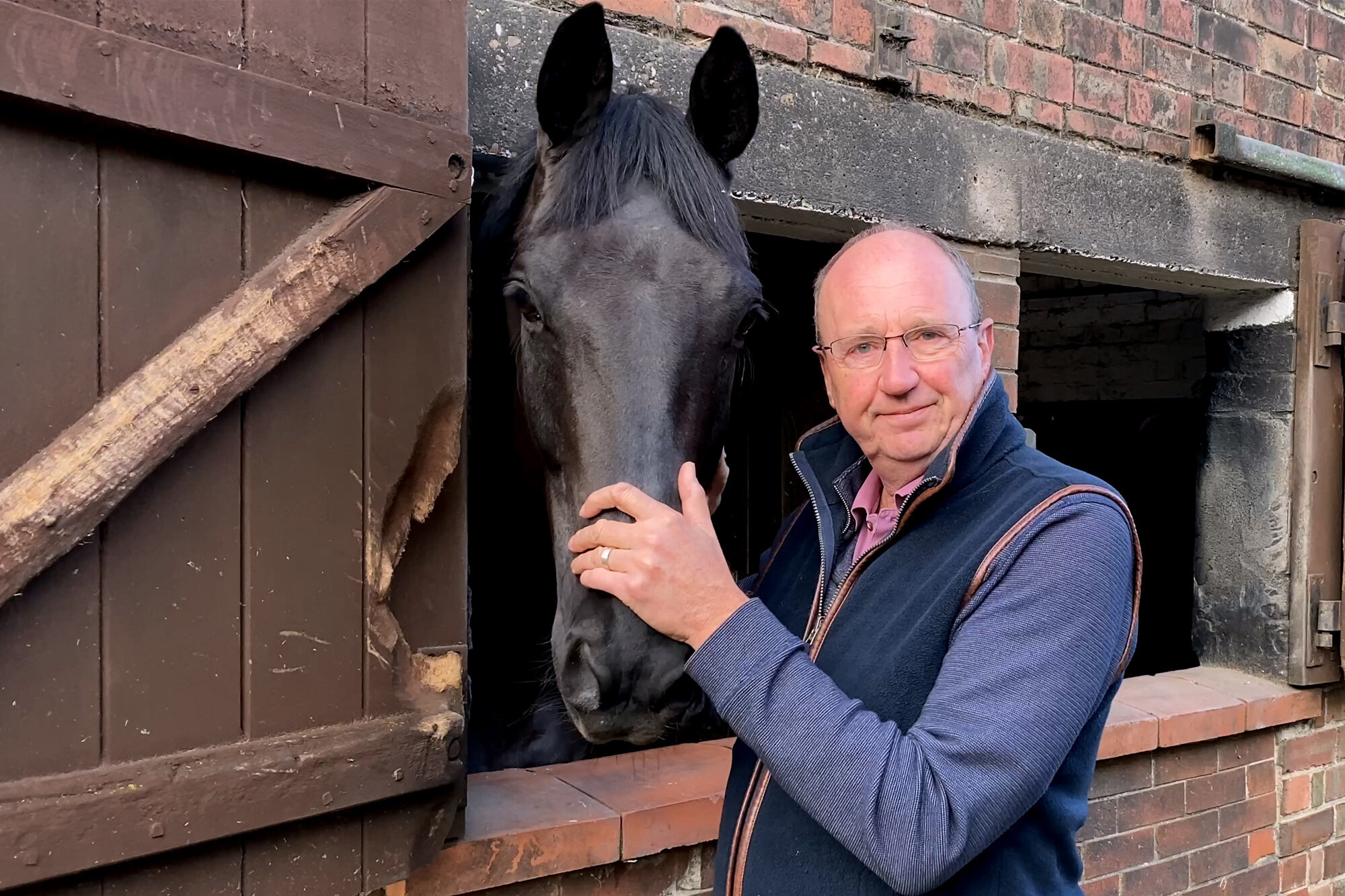 Birth of first foal from rescued ‘smuggled’ Dover 26 horses