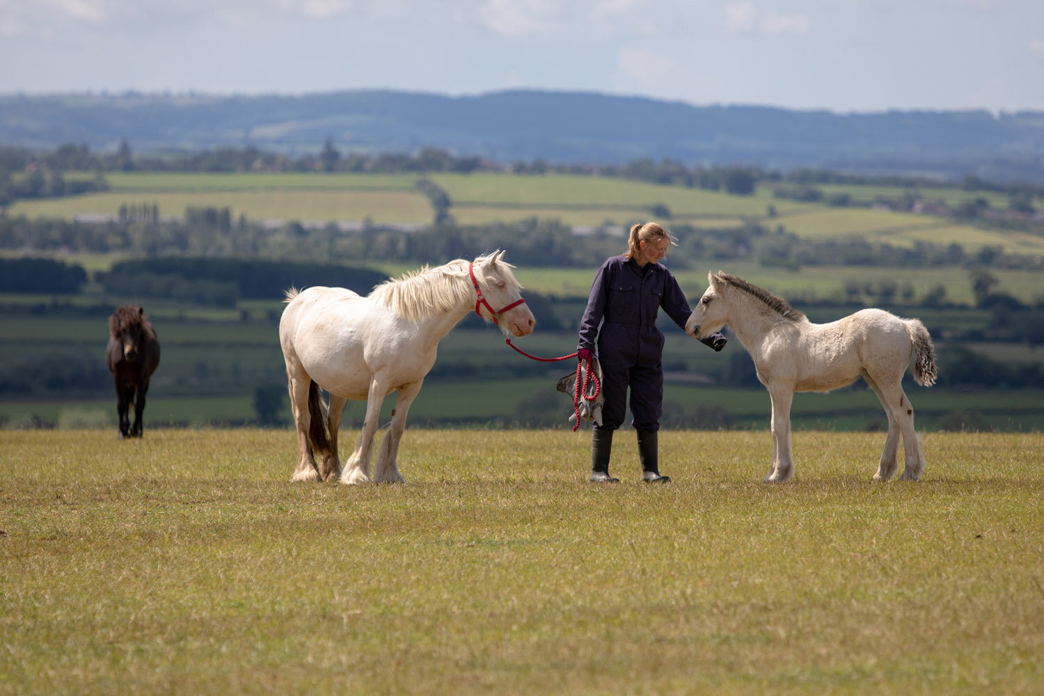 Visit Glenda Spooner Farm