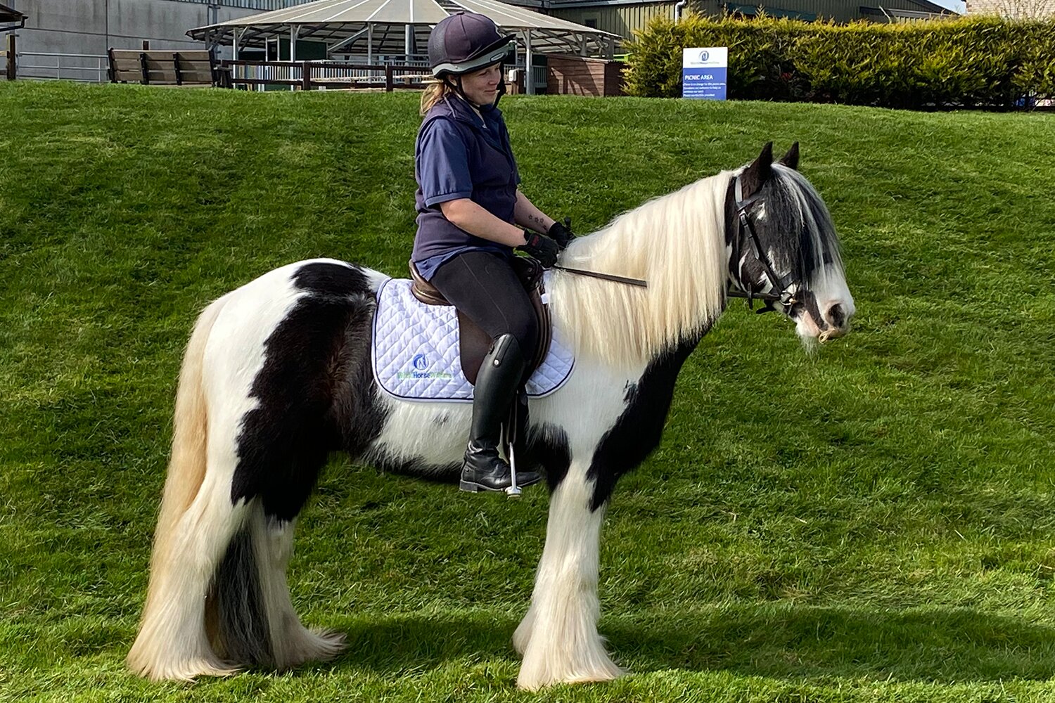 Birth of first foal from rescued ‘smuggled’ Dover 26 horses