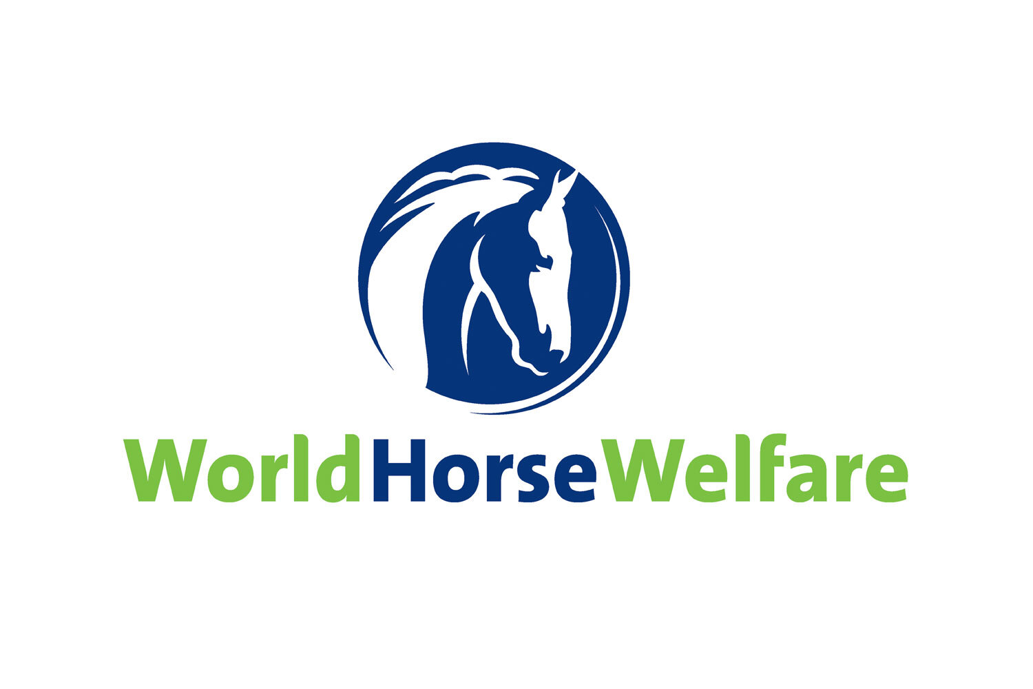 World Horse Welfare Statement in response to the Grand National 2023