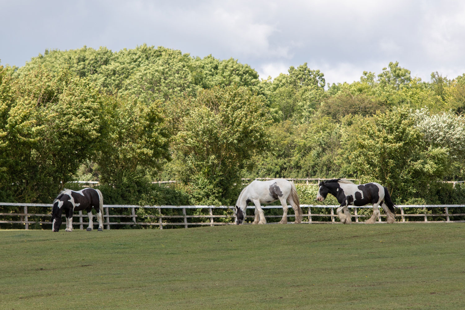 Glenda Spooner Farm tour