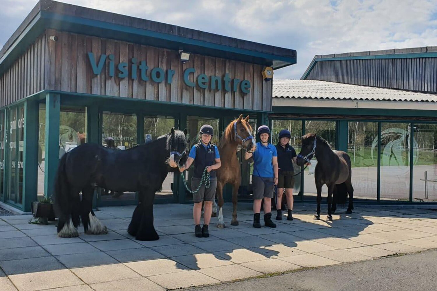 Rescue and Rehoming Centres reopening to the public on the 18th of August
