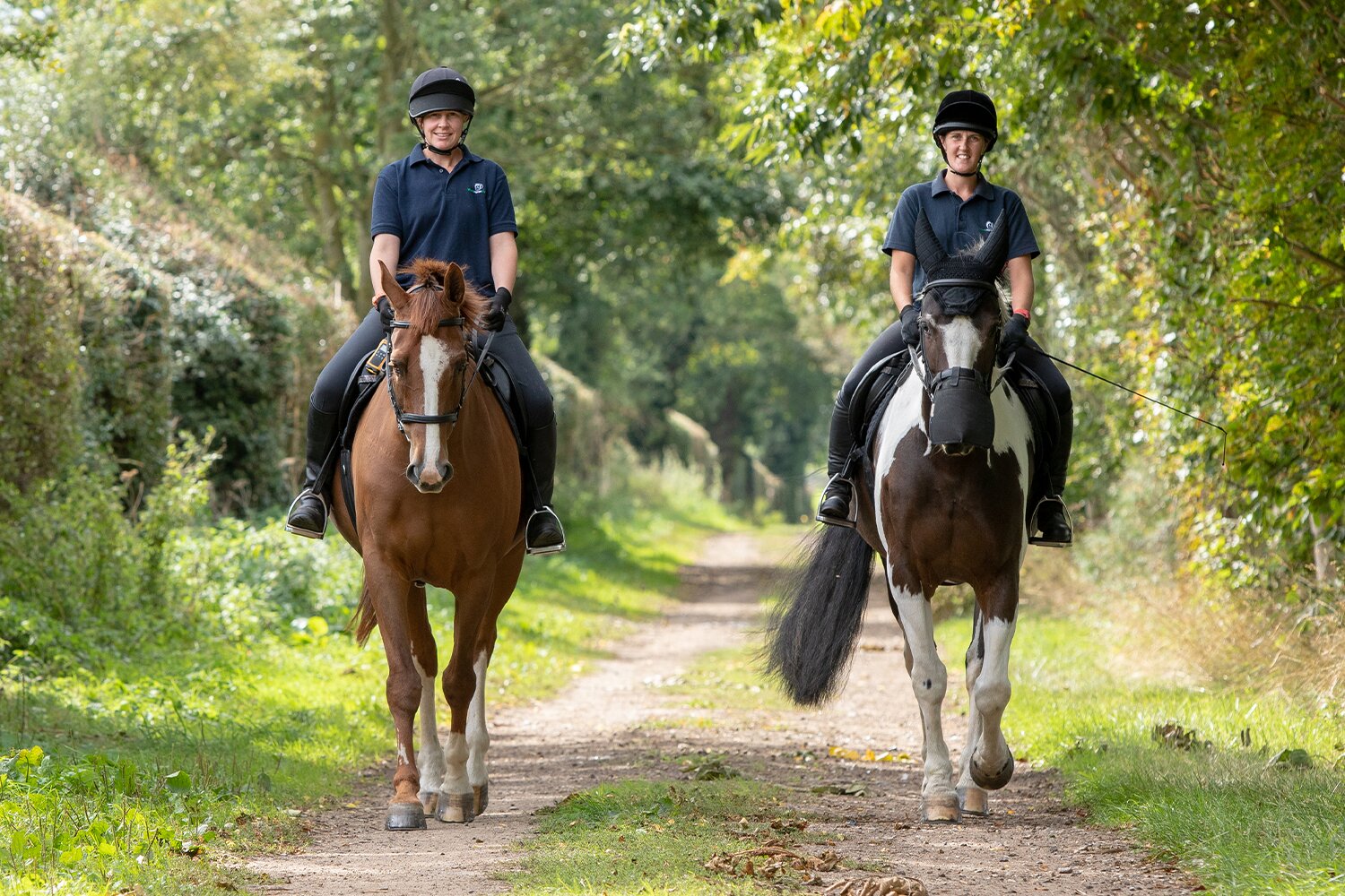 Birth of first foal from rescued ‘smuggled’ Dover 26 horses