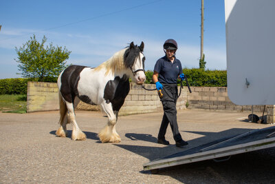 Travelling your horse safely: horsebox and trailer requirements