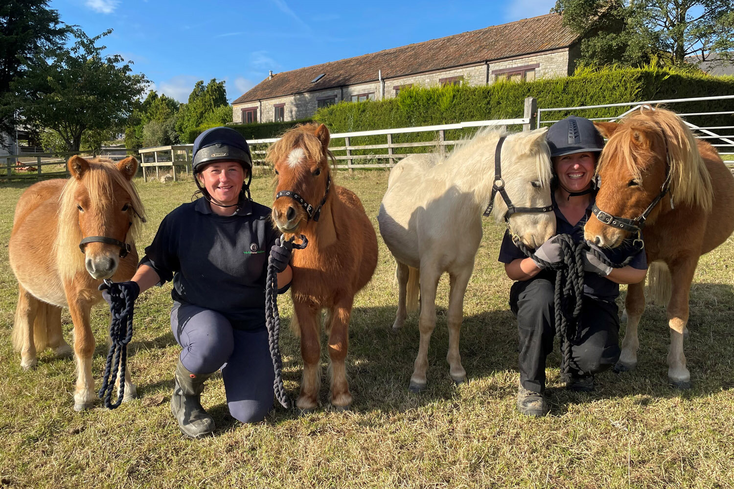 Birth of first foal from rescued ‘smuggled’ Dover 26 horses