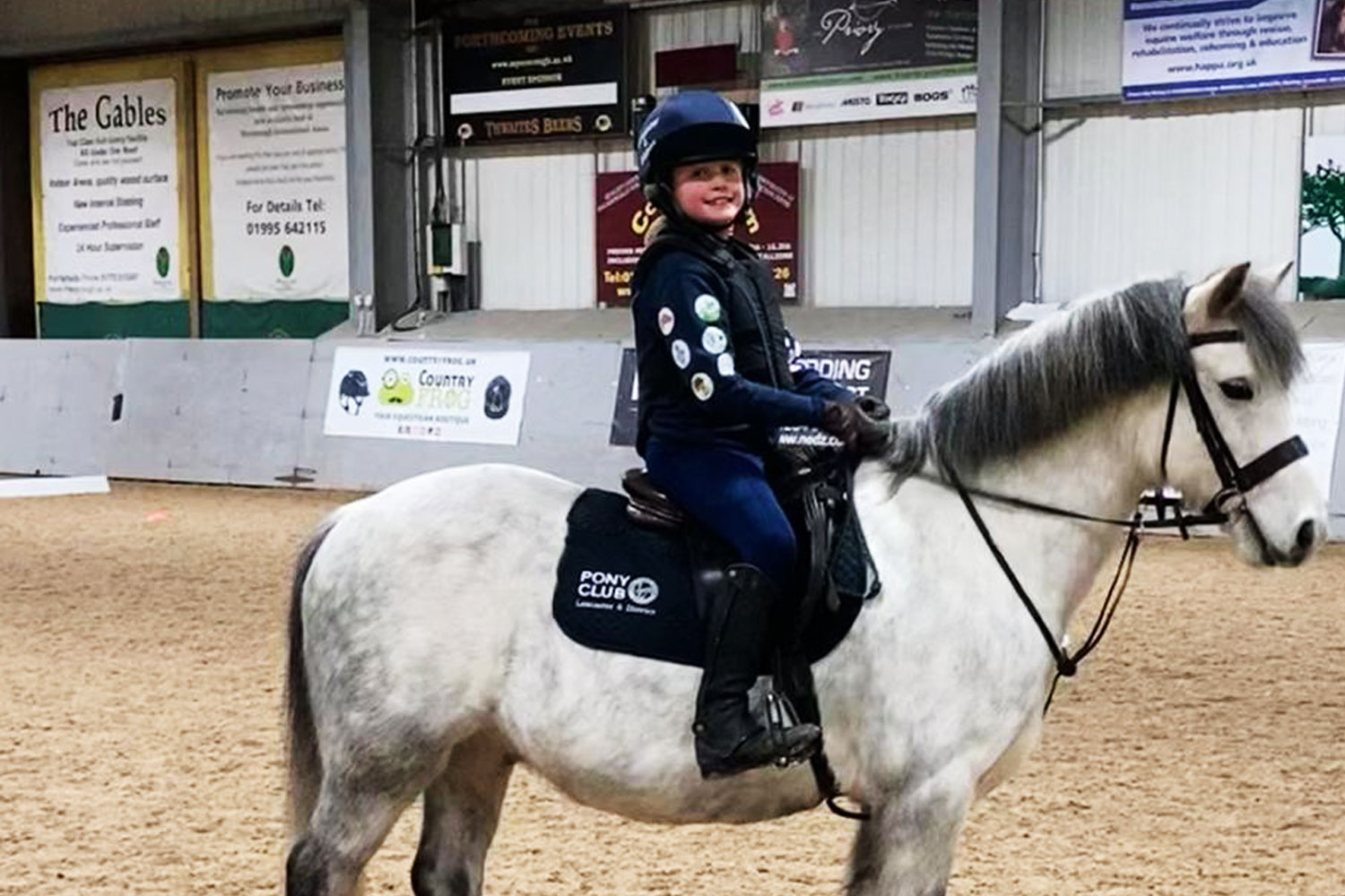 Former Adoption Horse Dalton is thriving in his new home