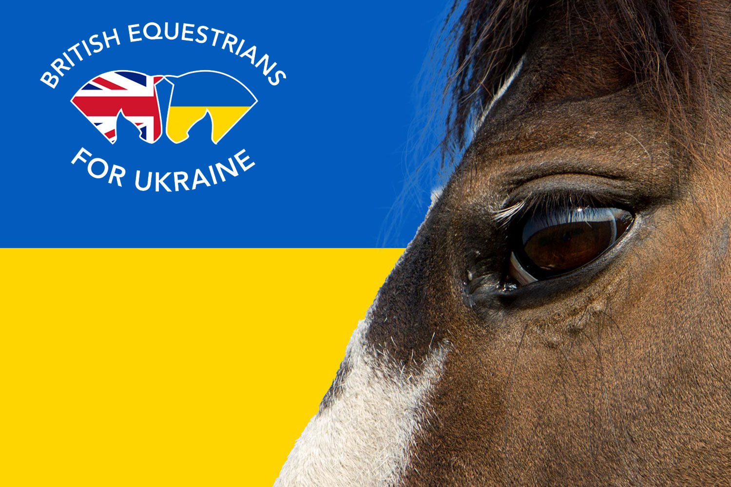 British Equestrians for Ukraine: week one update