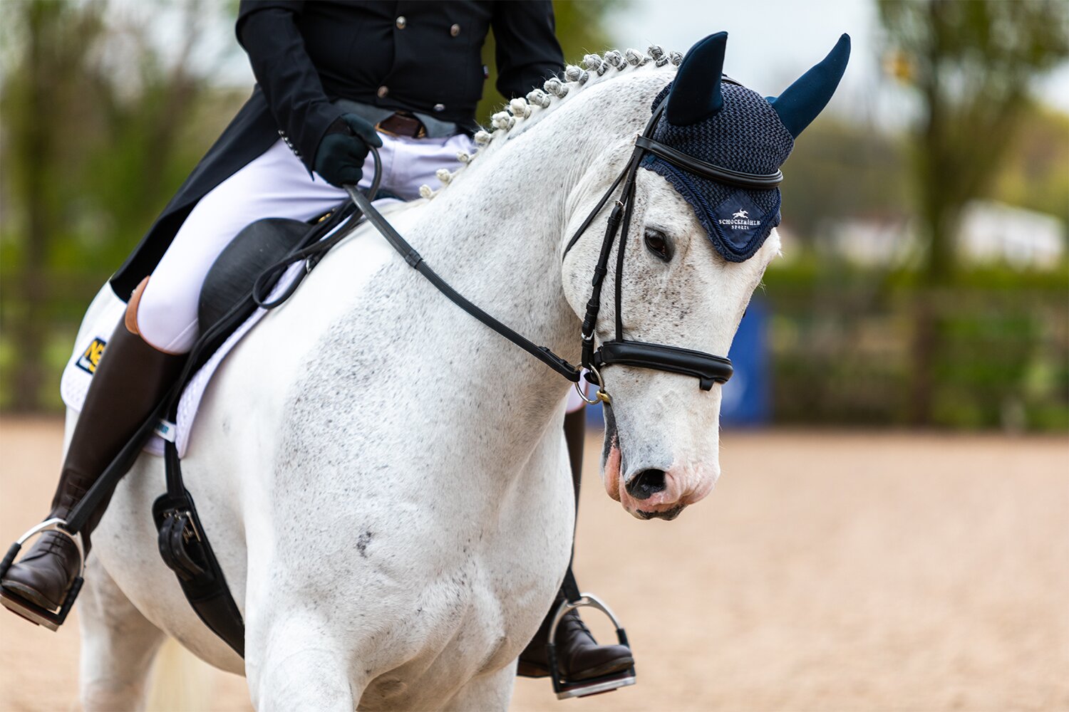 Unaffiliated Dressage &#8211; Penny Farm