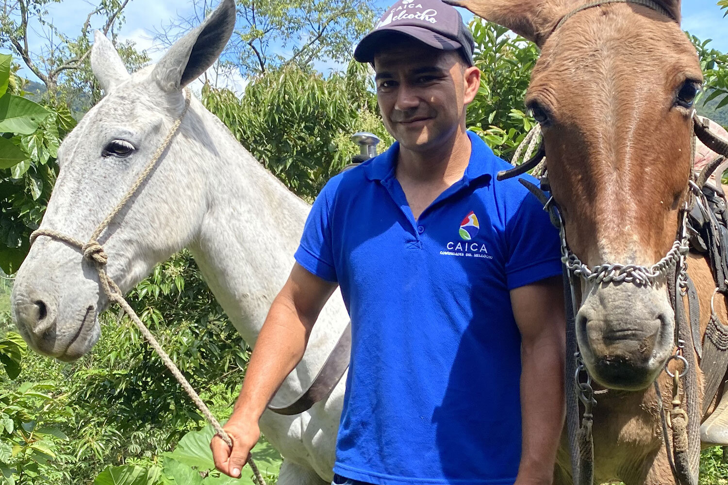 The cost of a coffee can improve the lives of the horses &#8211; and the people &#8211; who transport it