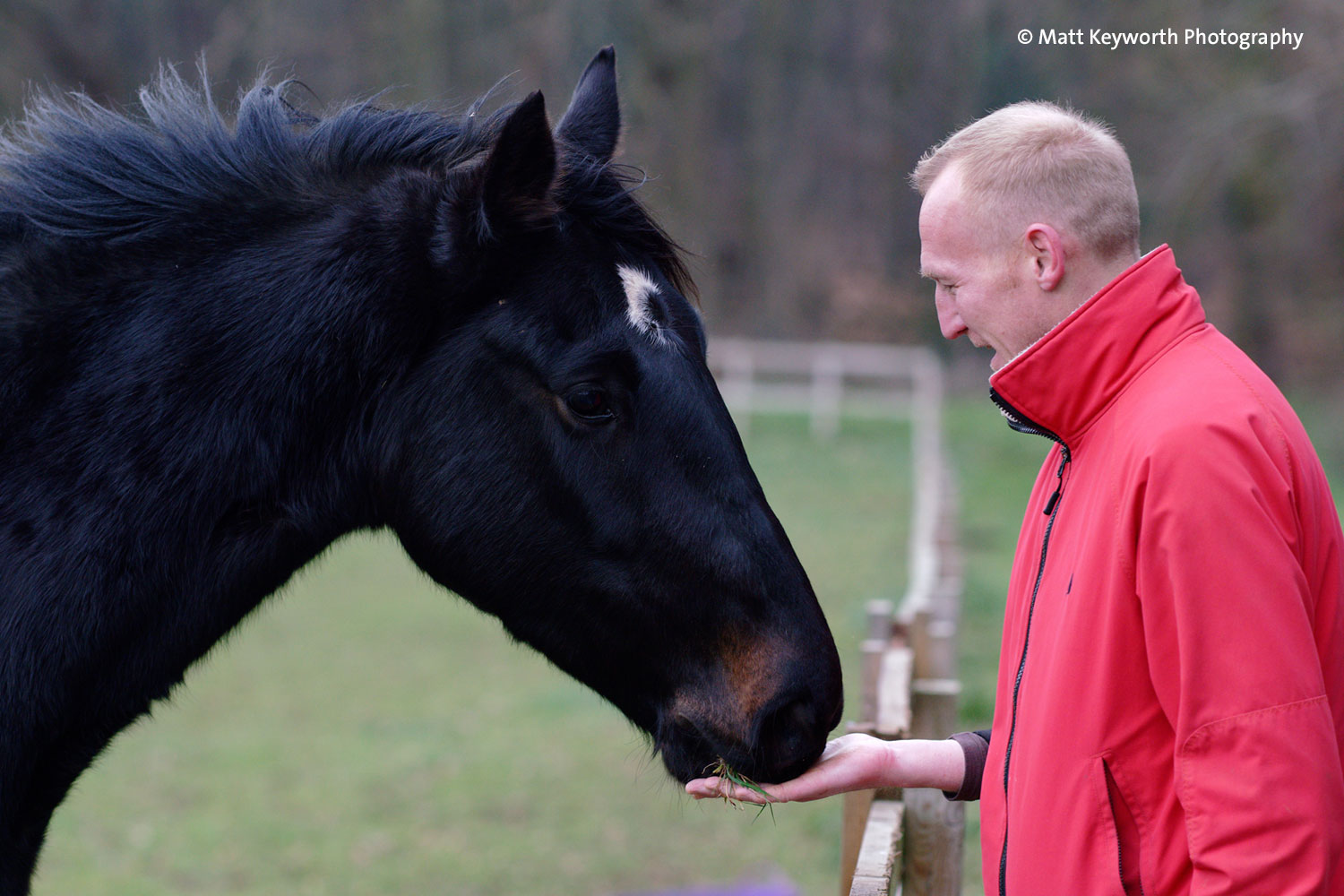 Birth of first foal from rescued ‘smuggled’ Dover 26 horses