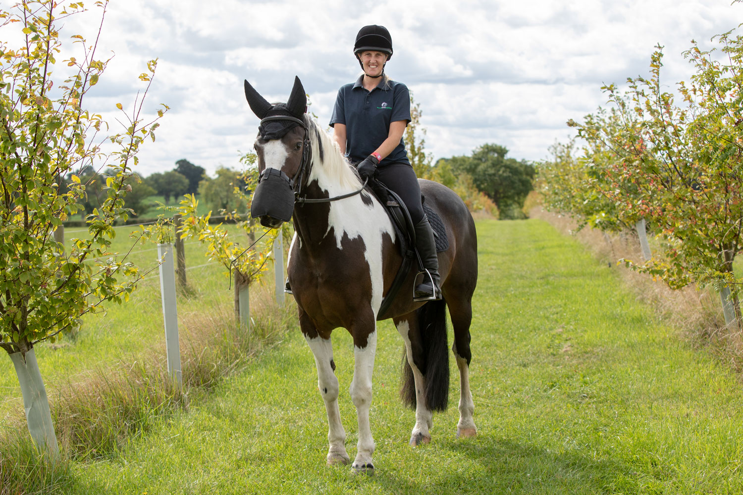 Riding and driving horses