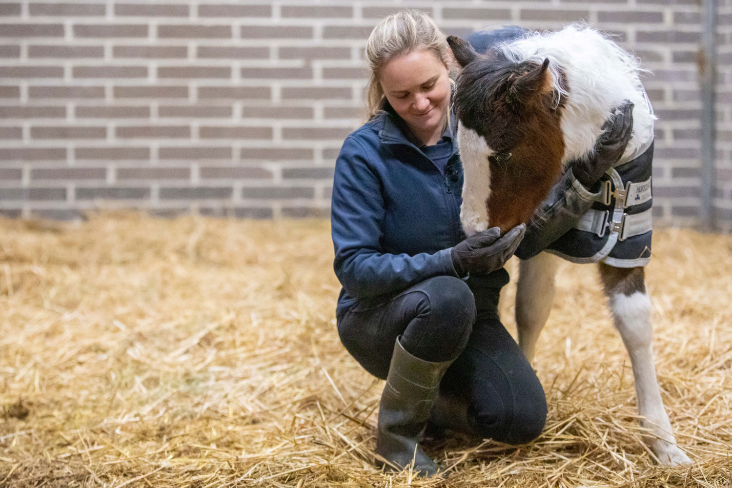 Little Holly was found frightened, alone and hungry, but now she’s safe this Christmas