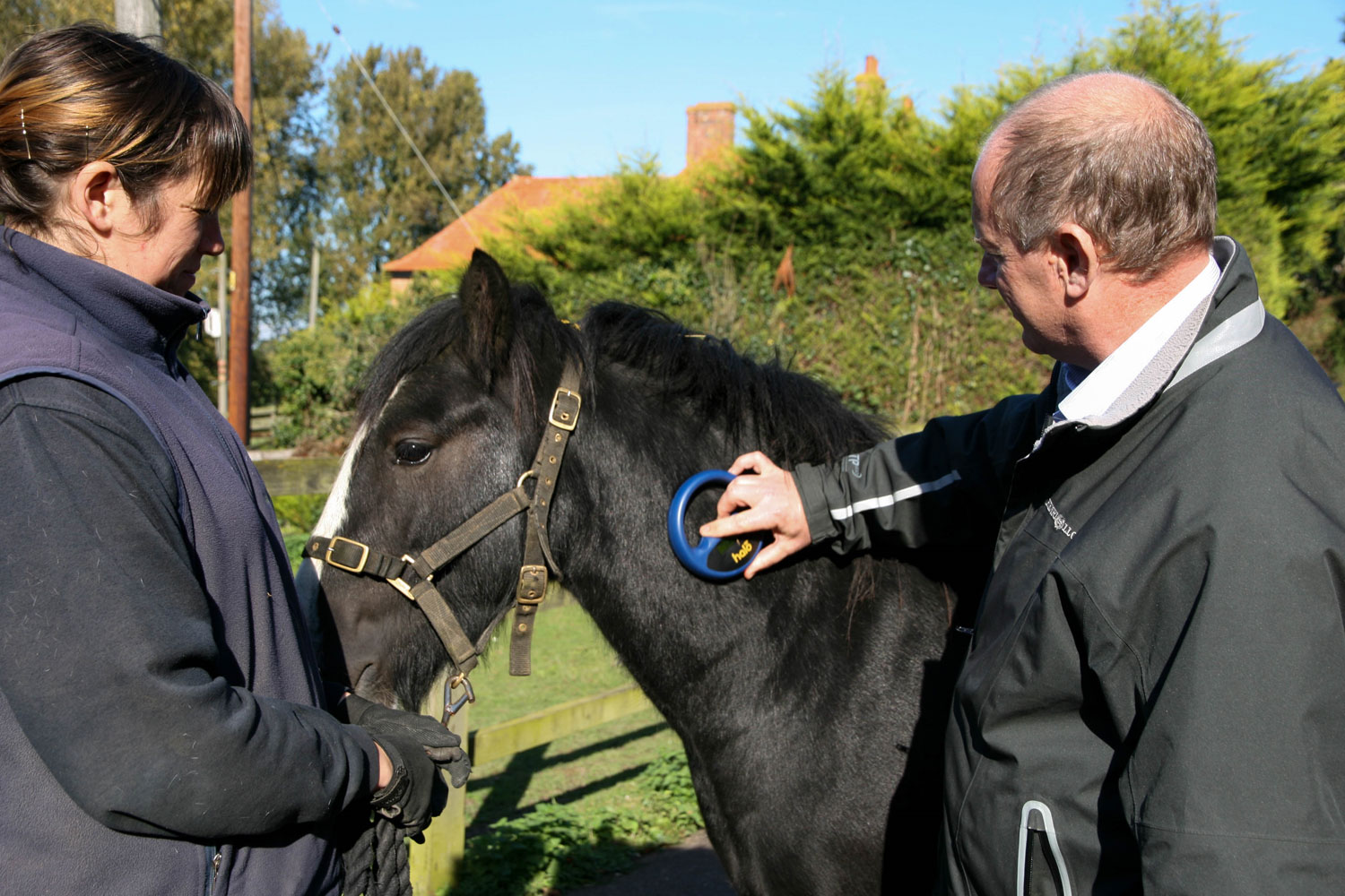 Birth of first foal from rescued ‘smuggled’ Dover 26 horses