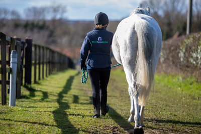 Behaviour professionals: who can help your horse?