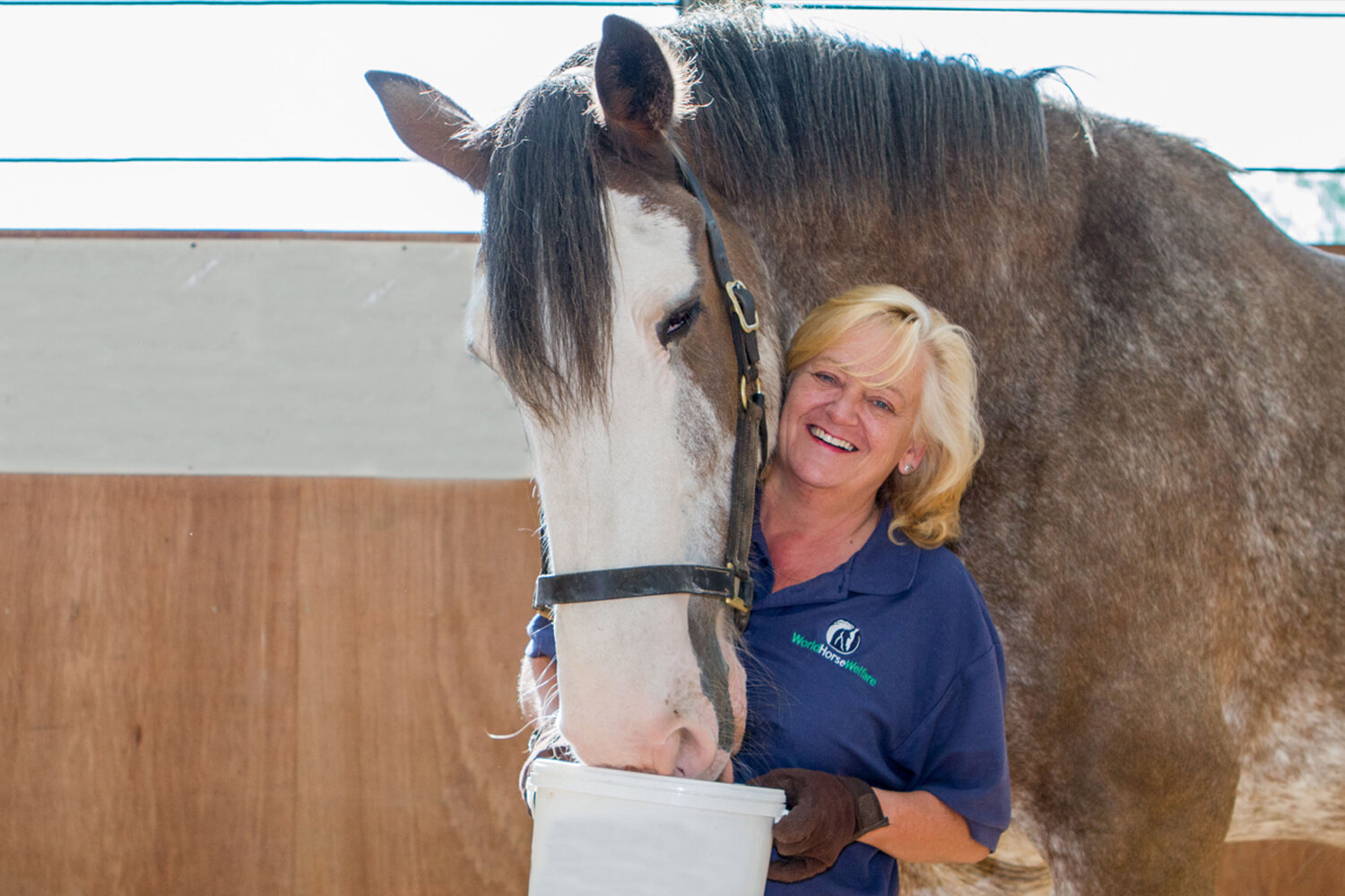 We find out the latest news on Equine Grass Sickness