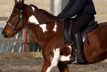 How does rider balance affect horses’ way of going?