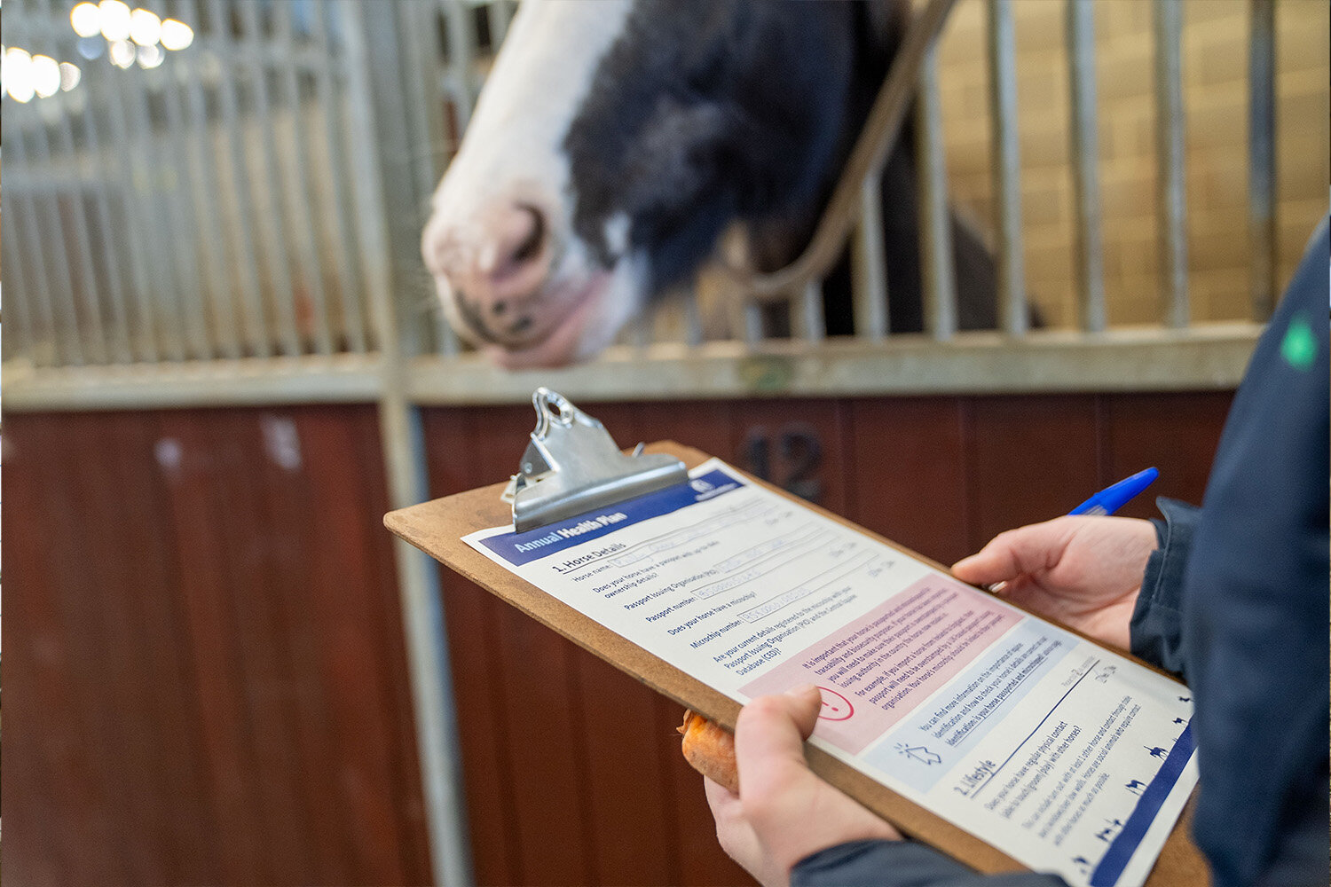 Annual Health Plan launched to support owners in managing their horses’ routine care.