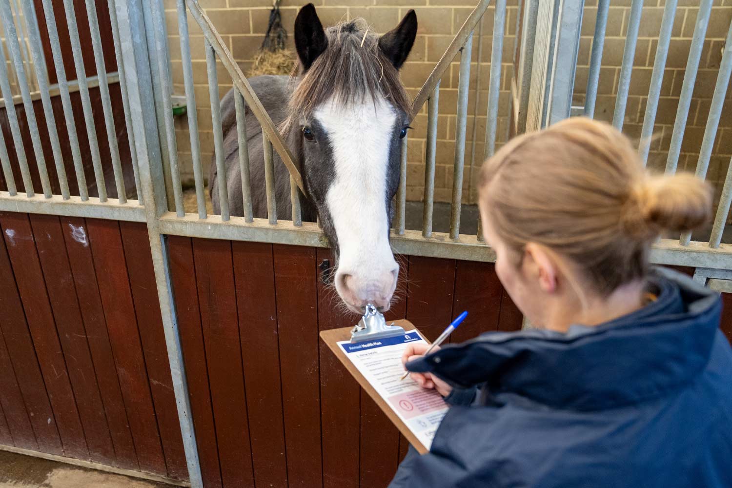 Annual Horse Health Plan 