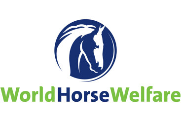 World Horse Welfare statement in response to Charlotte Dujardin&#8217;s provisional suspension