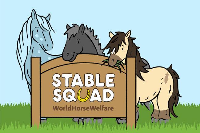 Stable Squad